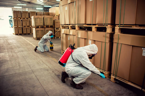 Wasp Removal Services in Lauderhill, FL