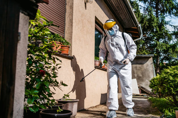 Best Pest Prevention Services  in Lauderhill, FL