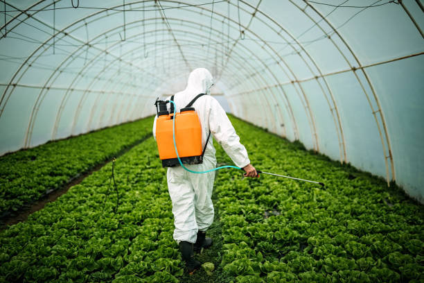 Best Pest Control for Restaurants  in Lauderhill, FL