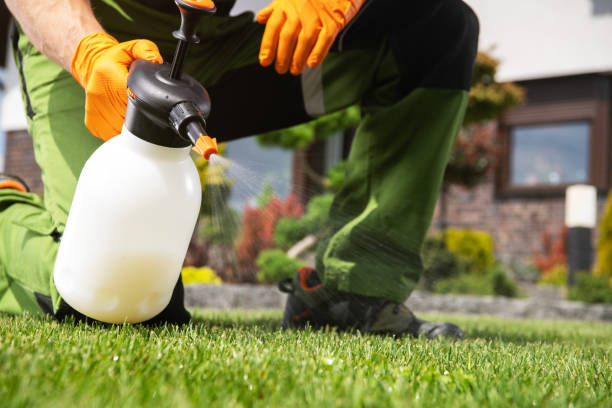 Reliable Lauderhill, FL Pest Control Solutions