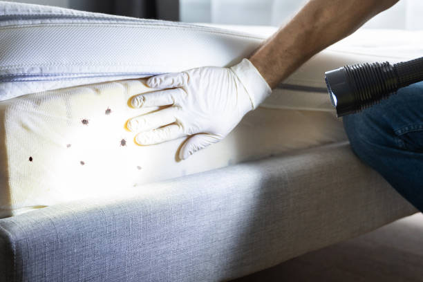 Best Residential Pest Control  in Lauderhill, FL