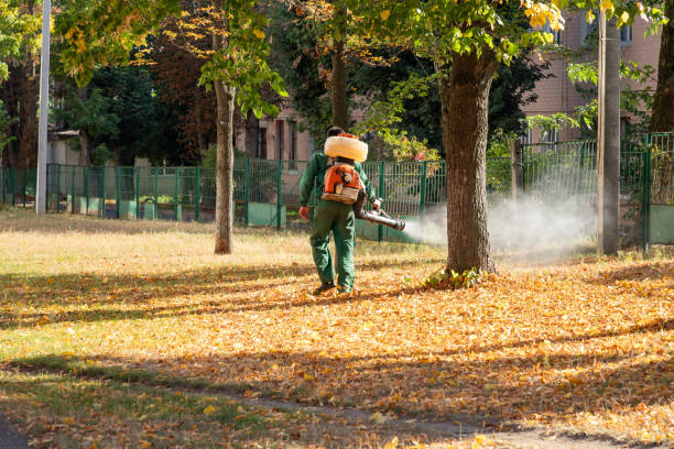 Best Wildlife Control Services  in Lauderhill, FL