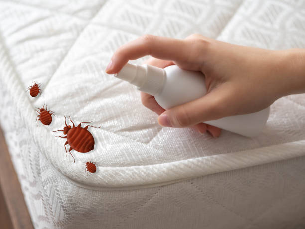 Best Residential Pest Control  in Lauderhill, FL