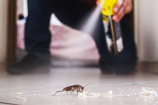 Best Pest Inspection Near Me  in Lauderhill, FL