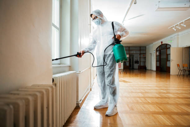 Best Flea Control Services  in Lauderhill, FL