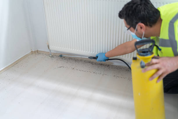Best Exterminator Services  in Lauderhill, FL