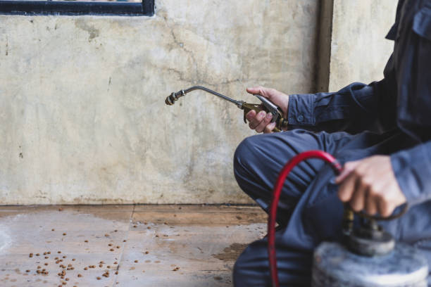 Best Pest Removal Services  in Lauderhill, FL