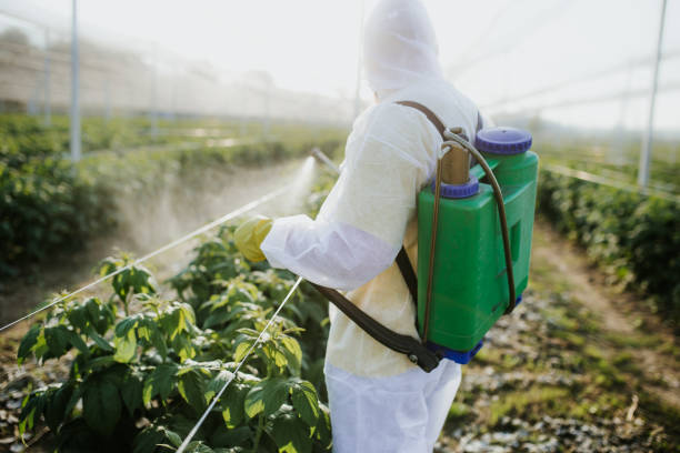 Best Mosquito Control Services  in Lauderhill, FL